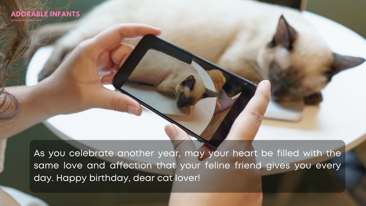 Birthday quotes for cat lovers