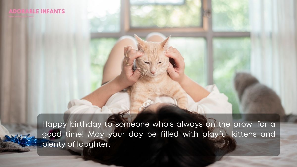 Funny birthday wishes for cat lovers