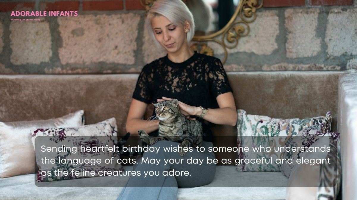 Sending sincere birthday wishes for cat lover for a day filled with feline happiness