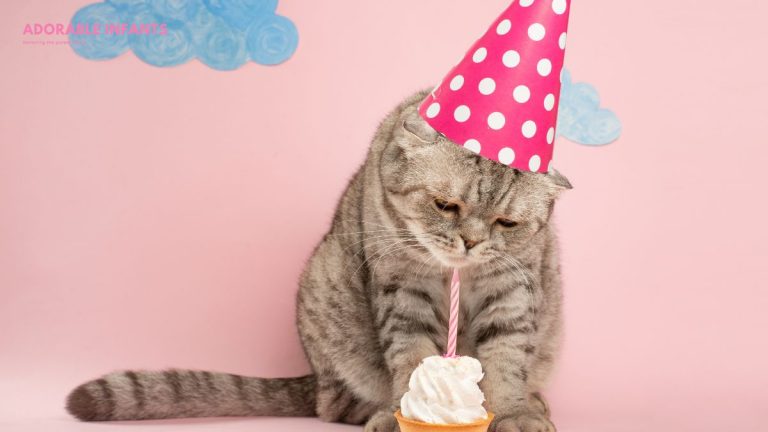1st birthday wishes for cat