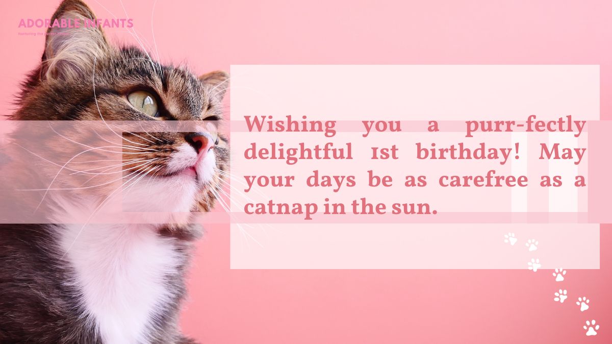 Inspirational 1st birthday wishes for cat