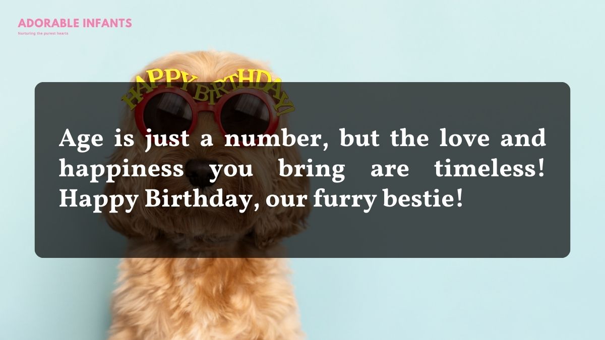 Short dog birthday quotes 